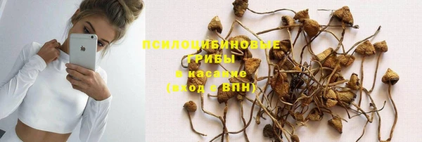 jwh Пересвет