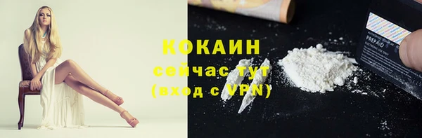 ГАЛЛЮЦИНОГЕННЫЕ ГРИБЫ Переславль-Залесский