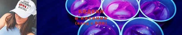 круглые Алзамай