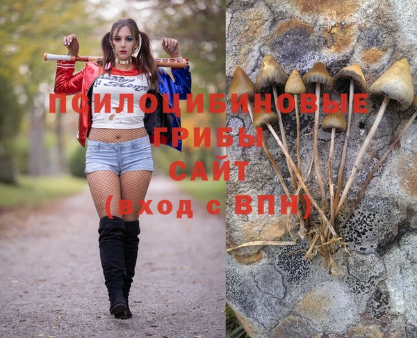 герыч Алексеевка