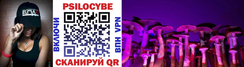 Галлюциногенные грибы Psilocybe  Краснотурьинск 