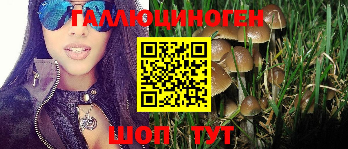 где найти наркотики  Вход с VPN  Краснотурьинск  Галлюциногенные грибы Psilocybine cubensis 