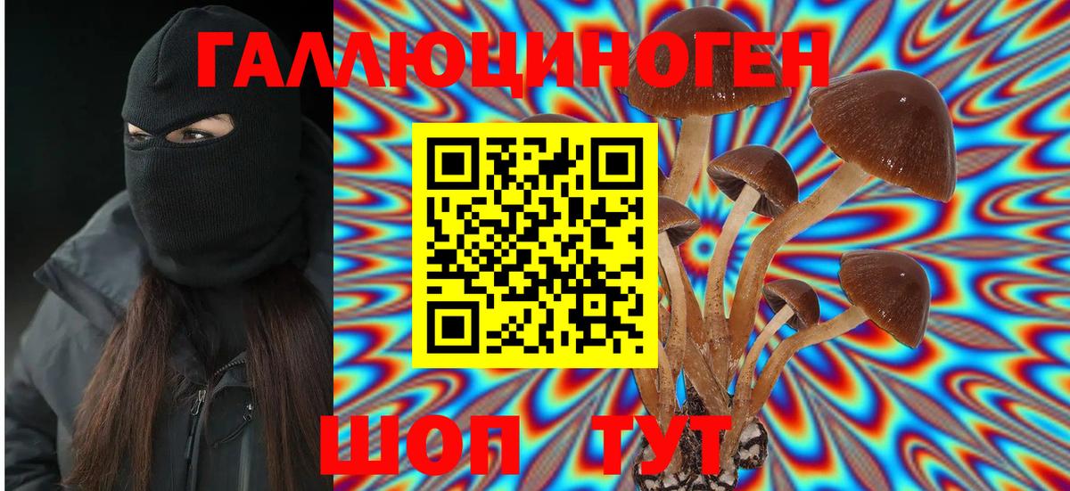 Псилоцибиновые грибы Magic Shrooms Краснотурьинск